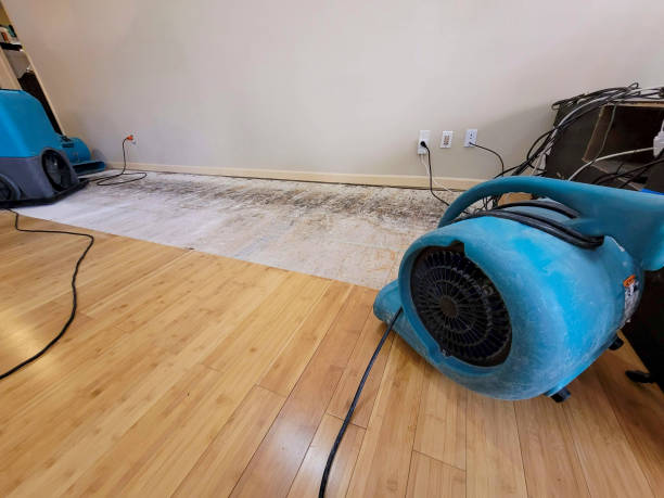Professional Ceiling Water Damage Repair technician working in Central, SC