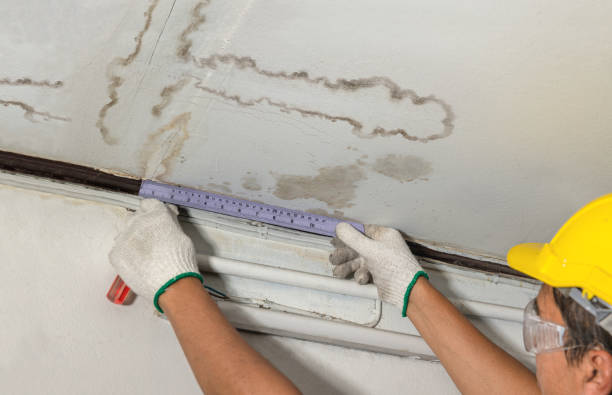 Affordable Ceiling Water Damage Repair solutions in Central, SC
